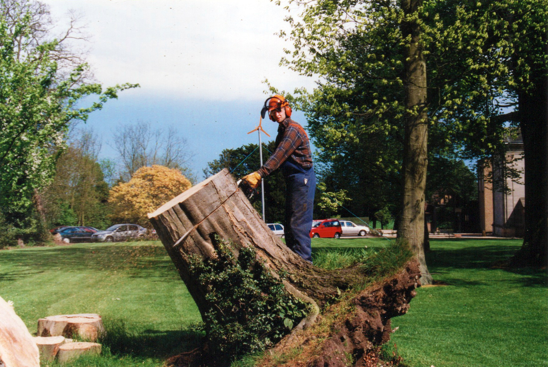 Tree Surgery Rugby Garden Maintenance Rugby Dead or Alive